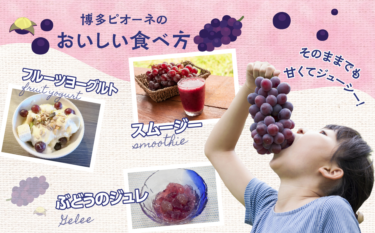 【先行受付】博多ピオーネ（350g×4パック）｜7月上旬〜発送予定