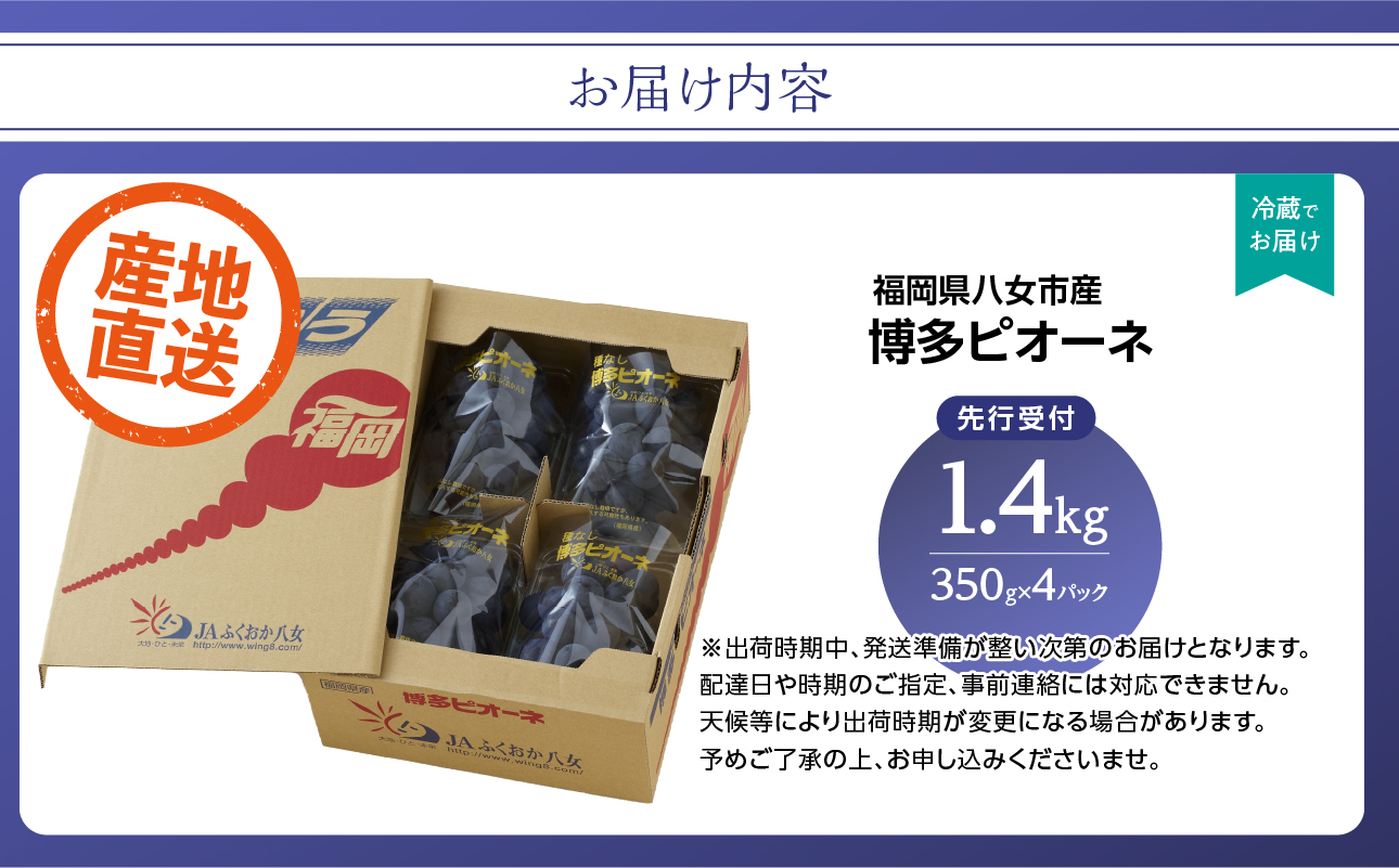 【先行受付】博多ピオーネ（350g×4パック）｜7月上旬〜発送予定