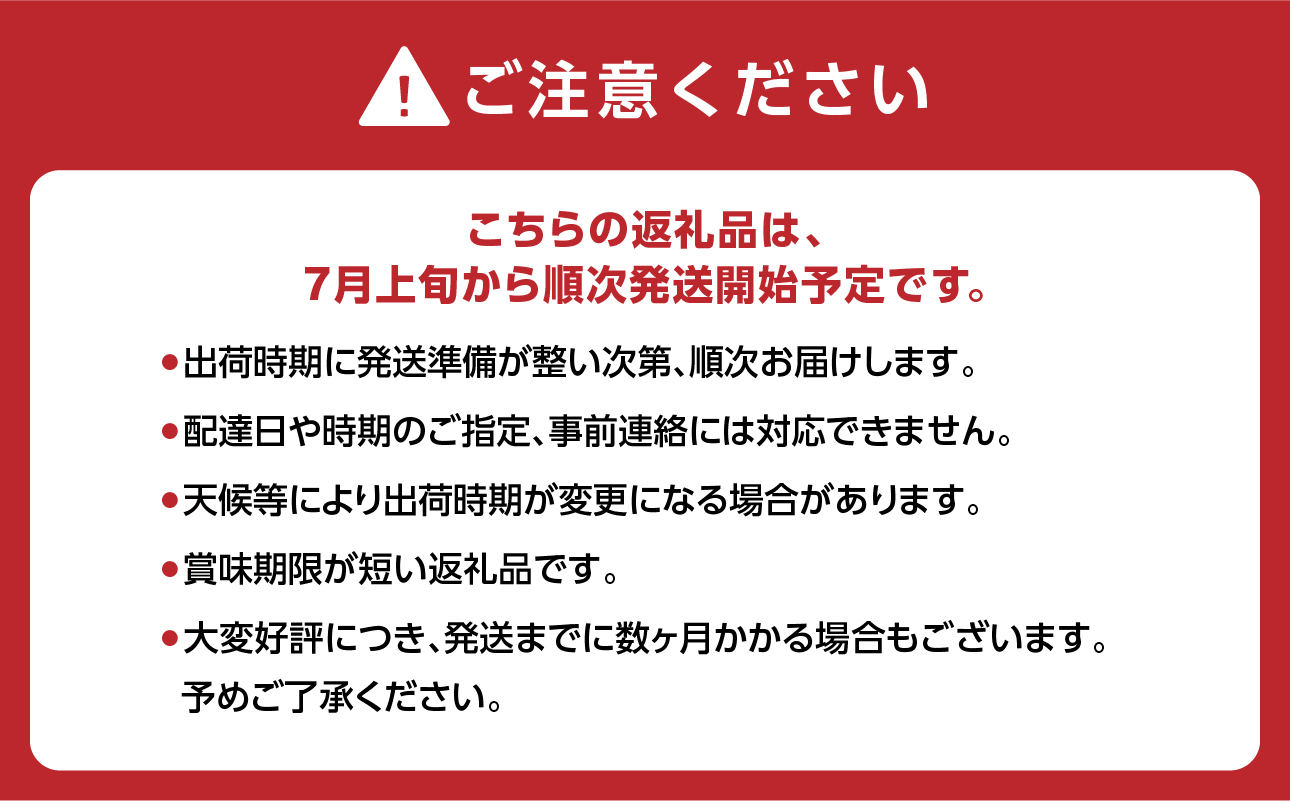 【先行受付】博多ピオーネ（350g×4パック）｜7月上旬〜発送予定