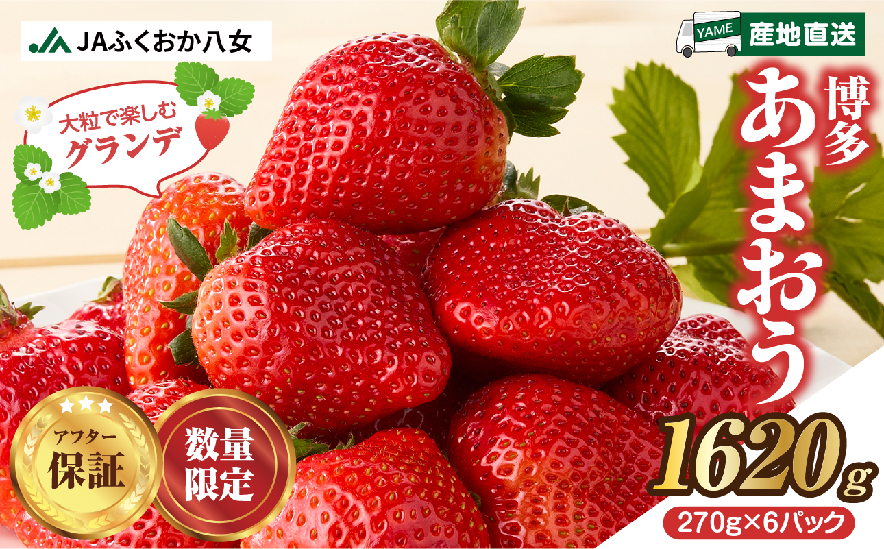 【先行受付：2027年2月発送開始】博多あまおうＧ270g×6パック｜JAふくおか八女 あまおう いちご 苺 イチゴ フルーツ 果物 くだもの 人気 旬 福岡県産 大粒 アフター補償 数量限定 期間限定 産地直送 グランデ 福岡県 八女市