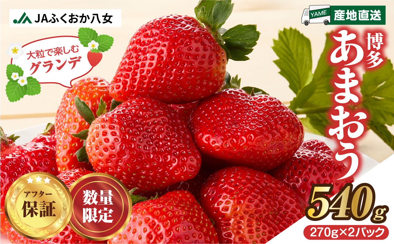 【先行受付：2027年2月発送開始】博多あまおうＧ270g×2パック｜JAふくおか八女 あまおう いちご 苺 イチゴ フルーツ 果物 くだもの 人気 旬 福岡県産 大粒 アフター補償 数量限定 期間限定 産地直送 グランデ 福岡県 八女市
