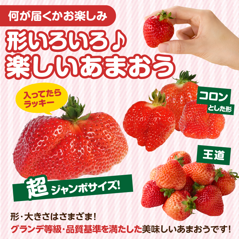 ã2026幎2æçºééå§ãåå€ããŸãã270gÃ4ããã¯ïœïŒªïŒ¡ãµãããå
«å¥³ ããŸãã ãã¡ã èº ã€ã㎠ãã«ãŒã æç© ãã ãã® äººæ° æ¬ çŠå²¡çç£ å€§ç² ã¢ãã¿ãŒè£å æ°ééå® æééå® ç£å°çŽé ã°ã©ã³ã çŠå²¡ç å
«å¥³åž