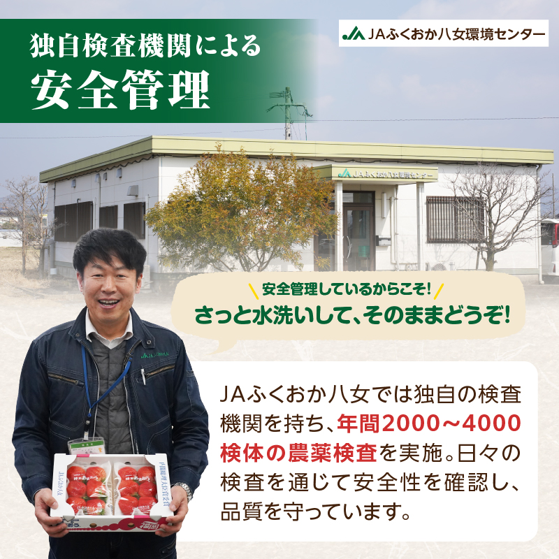 ã2026幎2æçºééå§ãåå€ããŸãã270gÃ4ããã¯ïœïŒªïŒ¡ãµãããå
«å¥³ ããŸãã ãã¡ã èº ã€ã㎠ãã«ãŒã æç© ãã ãã® äººæ° æ¬ çŠå²¡çç£ å€§ç² ã¢ãã¿ãŒè£å æ°ééå® æééå® ç£å°çŽé ã°ã©ã³ã çŠå²¡ç å
«å¥³åž