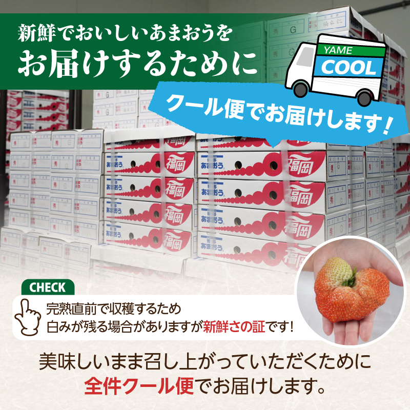 ã2026幎2æçºééå§ãåå€ããŸãã270gÃ4ããã¯ïœïŒªïŒ¡ãµãããå
«å¥³ ããŸãã ãã¡ã èº ã€ã㎠ãã«ãŒã æç© ãã ãã® äººæ° æ¬ çŠå²¡çç£ å€§ç² ã¢ãã¿ãŒè£å æ°ééå® æééå® ç£å°çŽé ã°ã©ã³ã çŠå²¡ç å
«å¥³åž