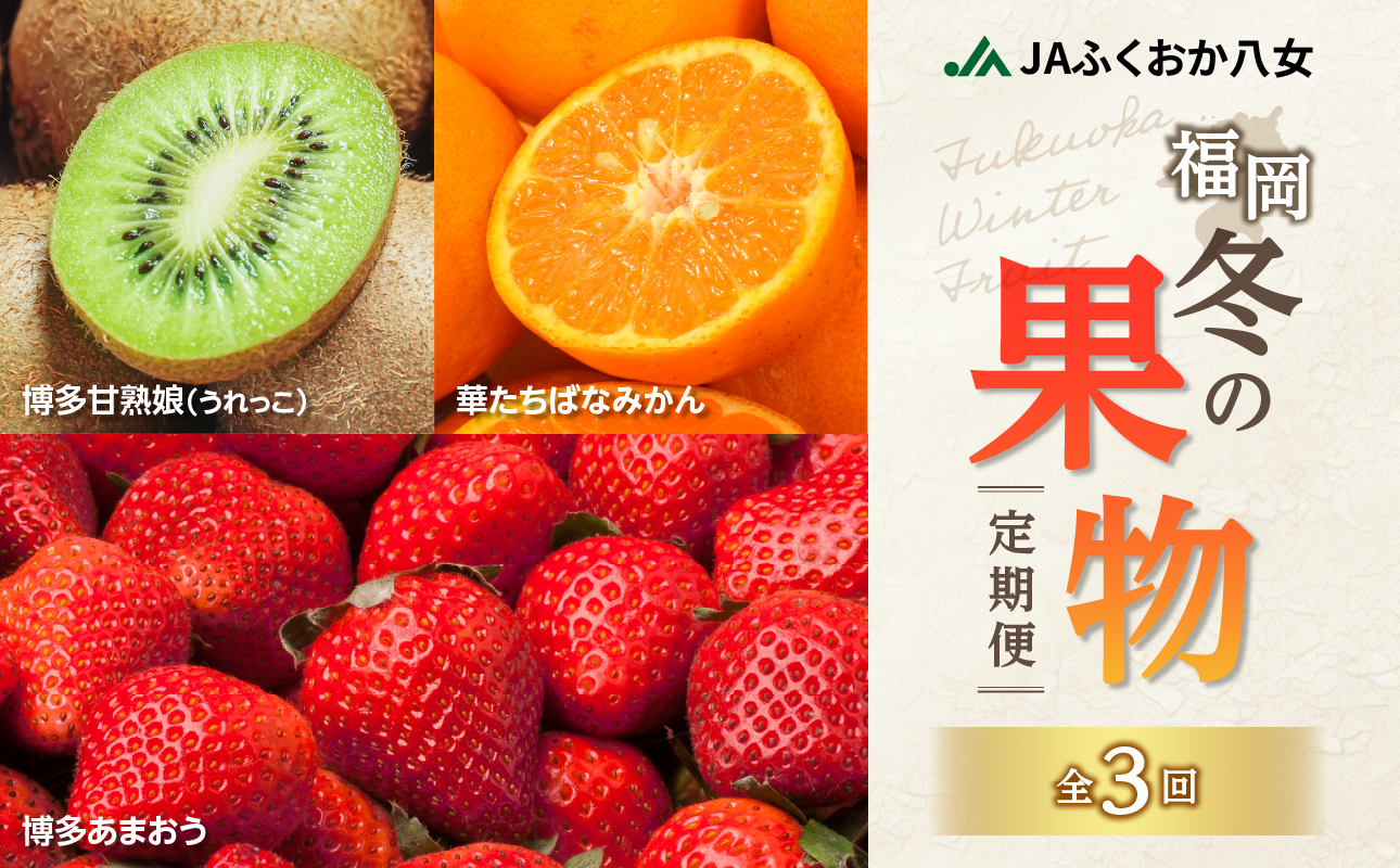 福岡冬の果物定期便【全3回】冬のお届け便 JAふくおか八女からお届け！ みかん ミカン キウイ あまおう いちご 苺 イチゴ フルーツ 果物 くだもの 人気 旬 福岡県産 アフター補償 数量限定 期間限定 産地直送 全3回 定期便 福岡県 八女市