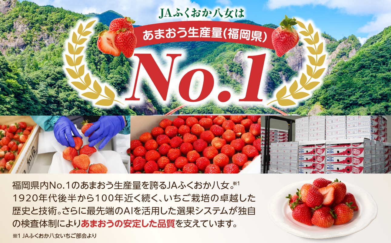 【2026年12月発送開始】博多あまおう350g（化粧箱）｜JAふくおか八女 あまおう いちご 苺 イチゴ フルーツ 果物 くだもの 人気 アフター補償 ギフト 化粧箱入り 贈答品 プレゼント 贈り物 数量限定 期間限定 産地直送 デラックス 福岡県 八女市