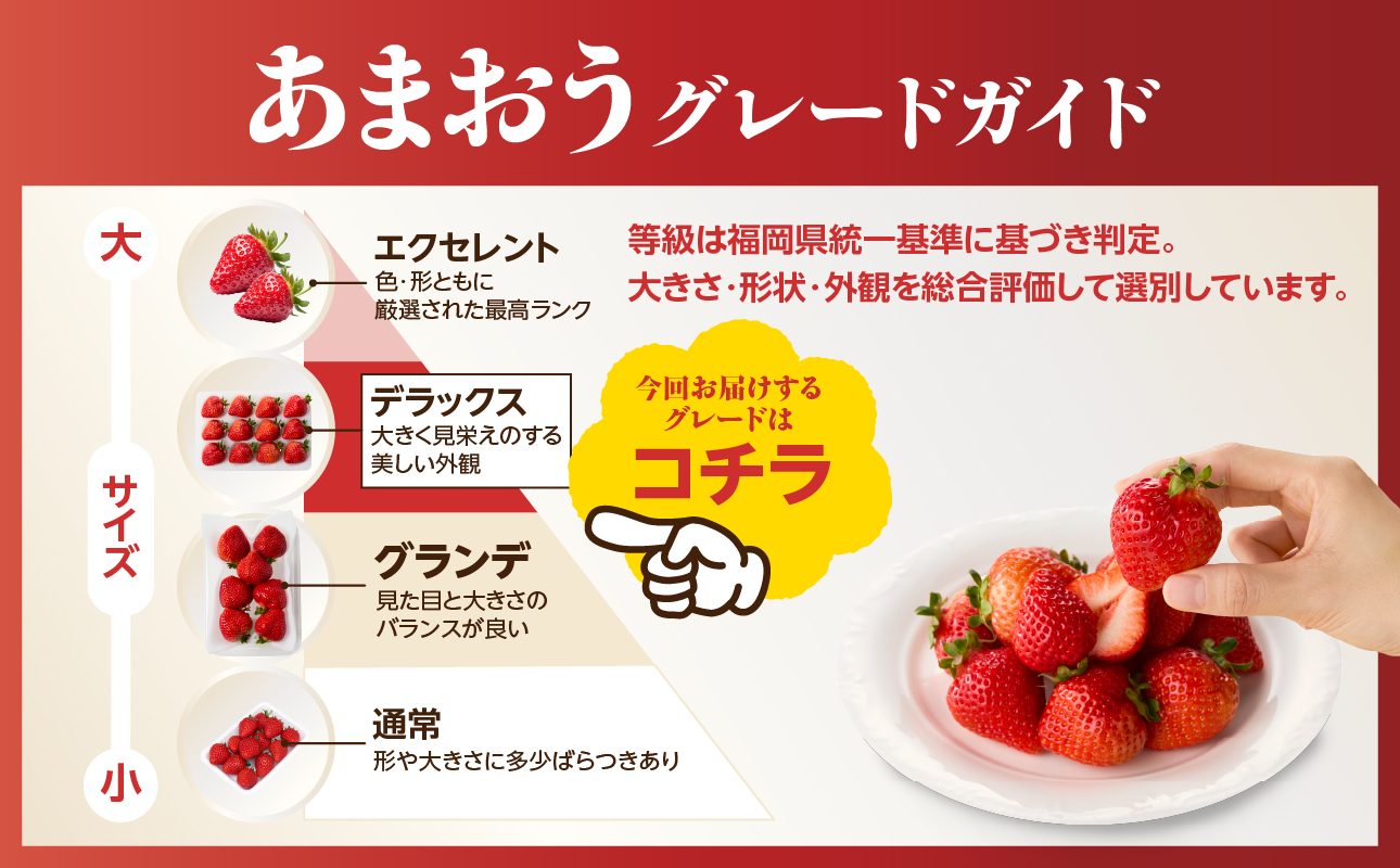 【2026年12月発送開始】博多あまおう350g（化粧箱）｜JAふくおか八女 あまおう いちご 苺 イチゴ フルーツ 果物 くだもの 人気 アフター補償 ギフト 化粧箱入り 贈答品 プレゼント 贈り物 数量限定 期間限定 産地直送 デラックス 福岡県 八女市
