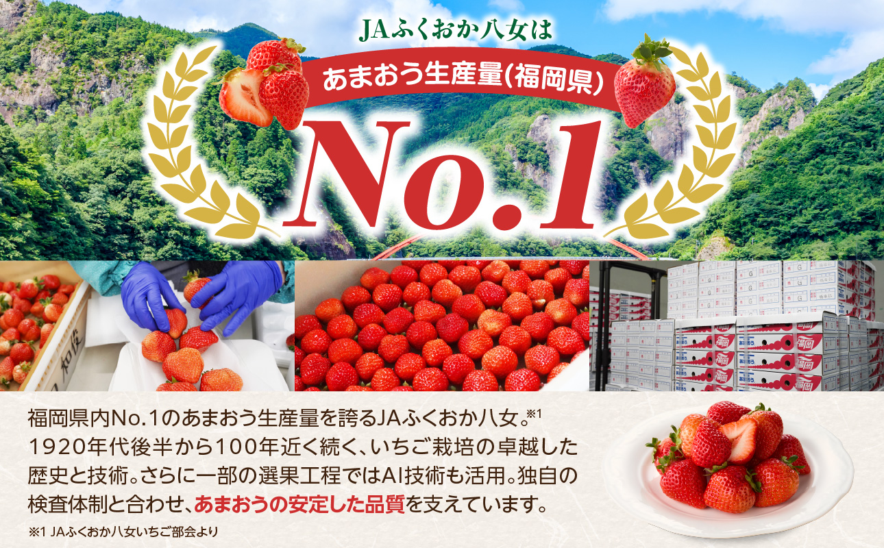 【先行受付：2027年2月発送開始】博多あまおうＧ270g×4パック｜JAふくおか八女 あまおう いちご 苺 イチゴ フルーツ 果物 くだもの 人気 旬 福岡県産 大粒 アフター補償 数量限定 期間限定 産地直送 グランデ 福岡県 八女市