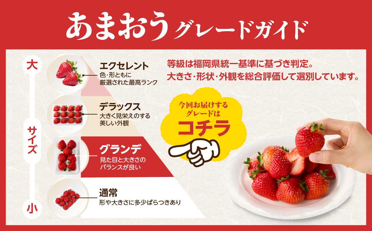 【先行受付：2027年2月発送開始】博多あまおうＧ270g×4パック｜JAふくおか八女 あまおう いちご 苺 イチゴ フルーツ 果物 くだもの 人気 旬 福岡県産 大粒 アフター補償 数量限定 期間限定 産地直送 グランデ 福岡県 八女市