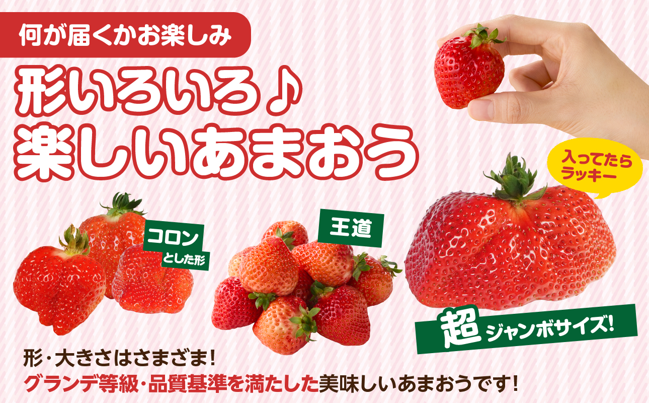 【先行受付：2027年2月発送開始】博多あまおうＧ270g×4パック｜JAふくおか八女 あまおう いちご 苺 イチゴ フルーツ 果物 くだもの 人気 旬 福岡県産 大粒 アフター補償 数量限定 期間限定 産地直送 グランデ 福岡県 八女市