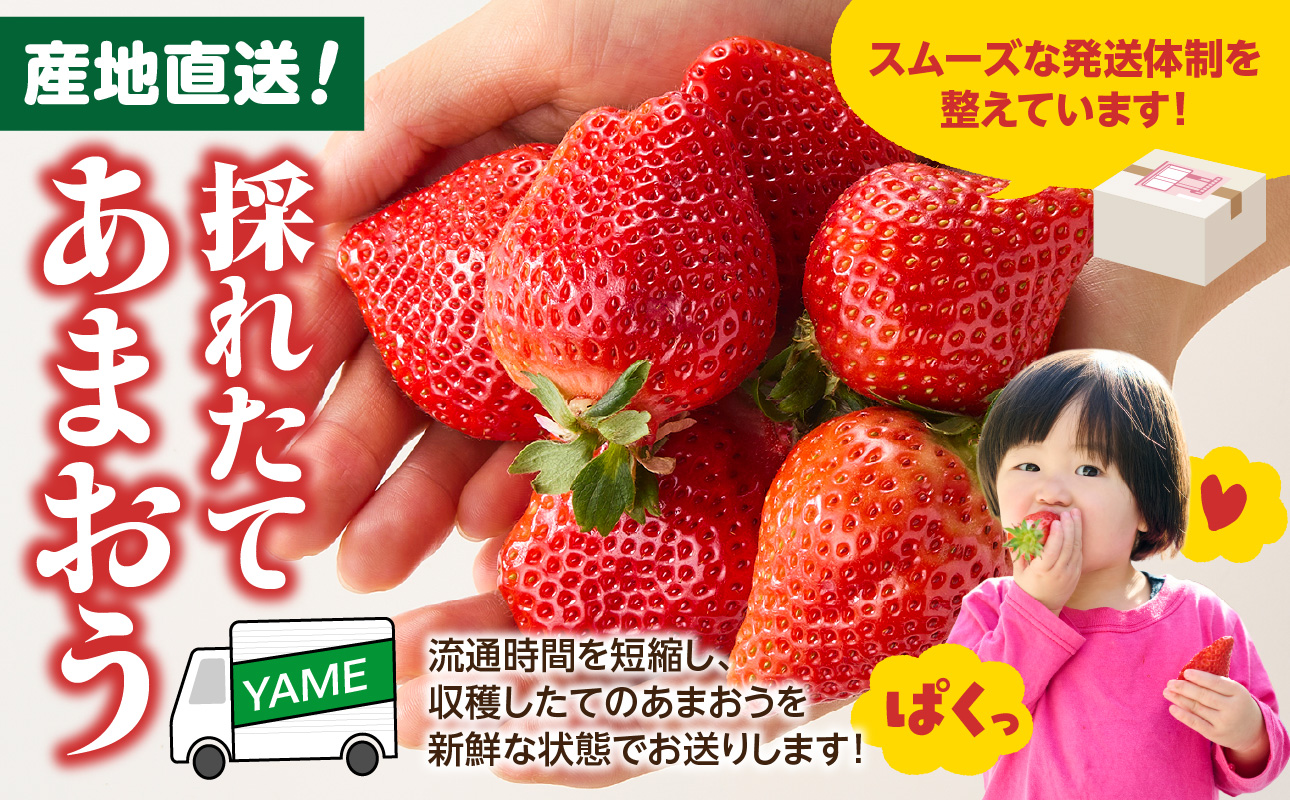 【先行受付：2027年2月発送開始】博多あまおうＧ270g×4パック｜JAふくおか八女 あまおう いちご 苺 イチゴ フルーツ 果物 くだもの 人気 旬 福岡県産 大粒 アフター補償 数量限定 期間限定 産地直送 グランデ 福岡県 八女市