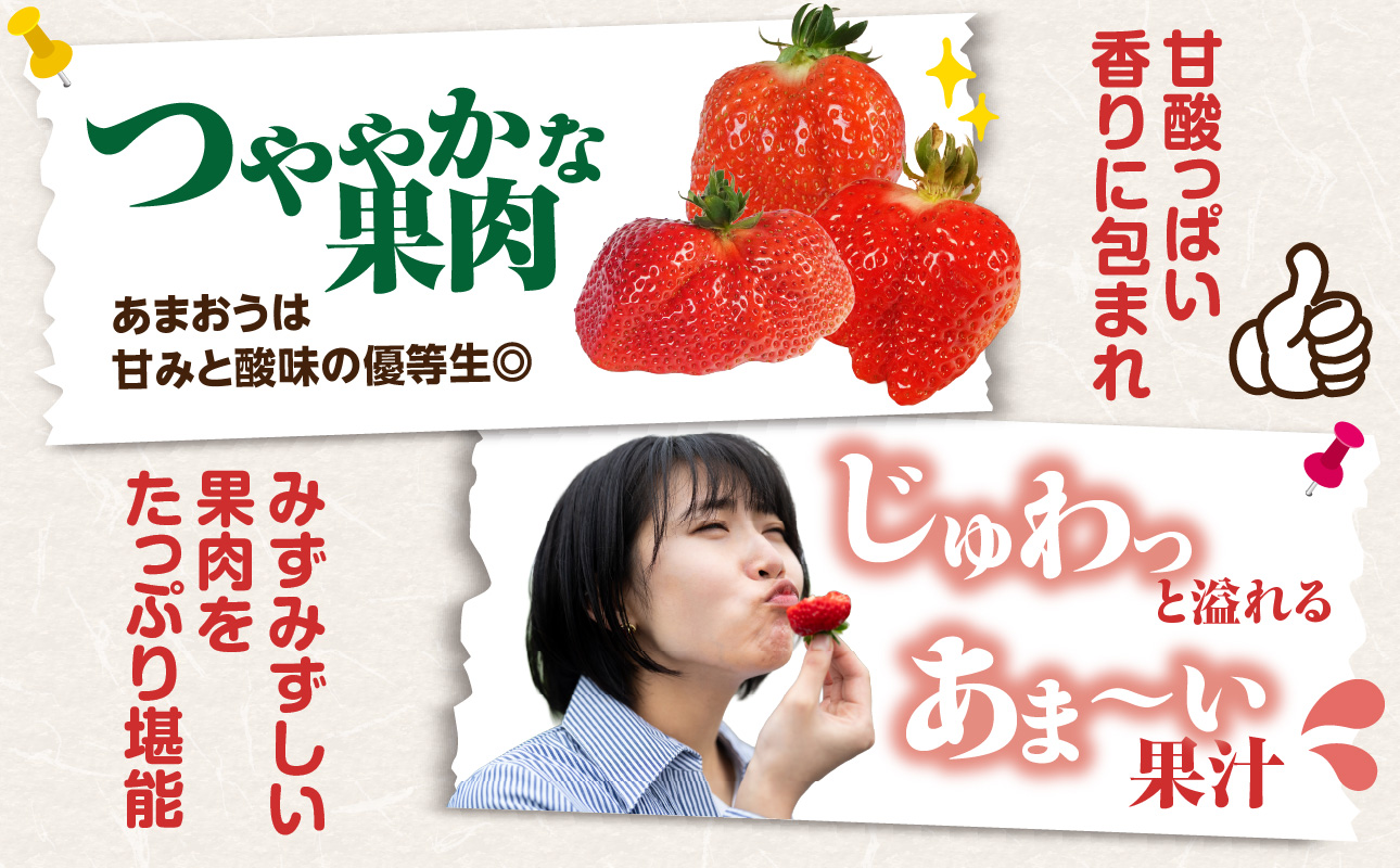 【先行受付：2027年2月発送開始】博多あまおうＧ270g×4パック｜JAふくおか八女 あまおう いちご 苺 イチゴ フルーツ 果物 くだもの 人気 旬 福岡県産 大粒 アフター補償 数量限定 期間限定 産地直送 グランデ 福岡県 八女市