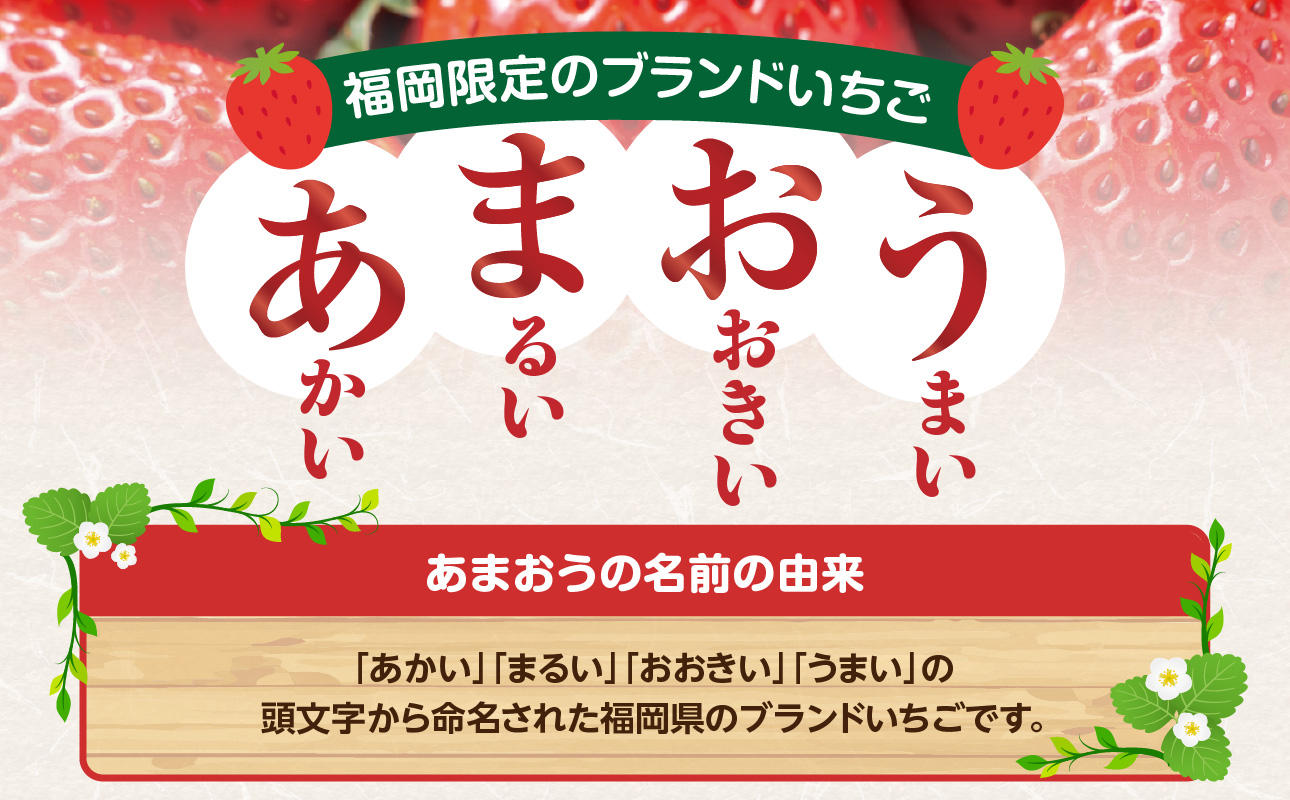 【先行受付：2027年2月発送開始】博多あまおうＧ270g×4パック｜JAふくおか八女 あまおう いちご 苺 イチゴ フルーツ 果物 くだもの 人気 旬 福岡県産 大粒 アフター補償 数量限定 期間限定 産地直送 グランデ 福岡県 八女市