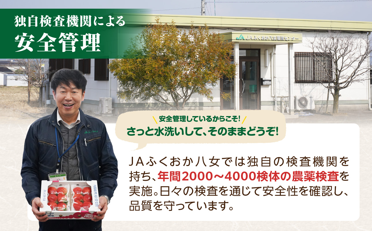【先行受付：2027年2月発送開始】博多あまおうＧ270g×4パック｜JAふくおか八女 あまおう いちご 苺 イチゴ フルーツ 果物 くだもの 人気 旬 福岡県産 大粒 アフター補償 数量限定 期間限定 産地直送 グランデ 福岡県 八女市
