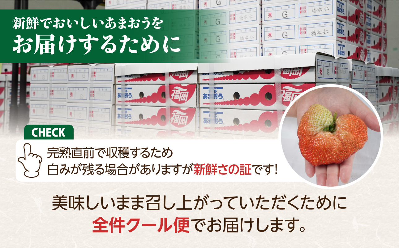 【先行受付：2027年2月発送開始】博多あまおうＧ270g×4パック｜JAふくおか八女 あまおう いちご 苺 イチゴ フルーツ 果物 くだもの 人気 旬 福岡県産 大粒 アフター補償 数量限定 期間限定 産地直送 グランデ 福岡県 八女市