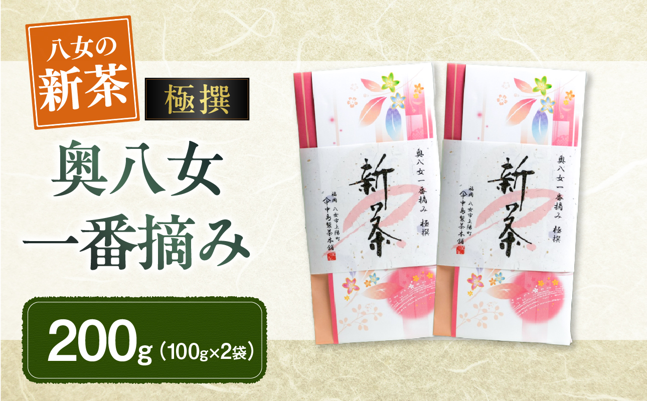 【新茶】ギフト用 八女新茶　一番摘み 極撰（100g×2袋）【2026年4月下旬発送開始】  お茶 緑茶 八女茶 茶葉 煎茶 高品質