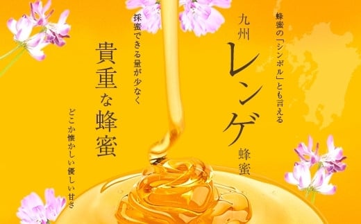 ＜国産＞かの蜂 九州レンゲ蜂蜜1.2kg【600g×2個】採蜜できる量が少ない貴重な純粋蜂蜜