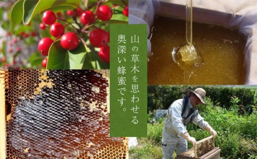 かの蜂 国産もち蜂蜜【1kg】養蜂一筋60年自慢の一品　さっぱりとした後味の蜂蜜 蜂蜜 はちみつ ハチミツ 国産 もち 完熟 天然 非加熱 常温 保存 備蓄 防災食 非常食 保存食 防災グッズ 福岡県 八女市