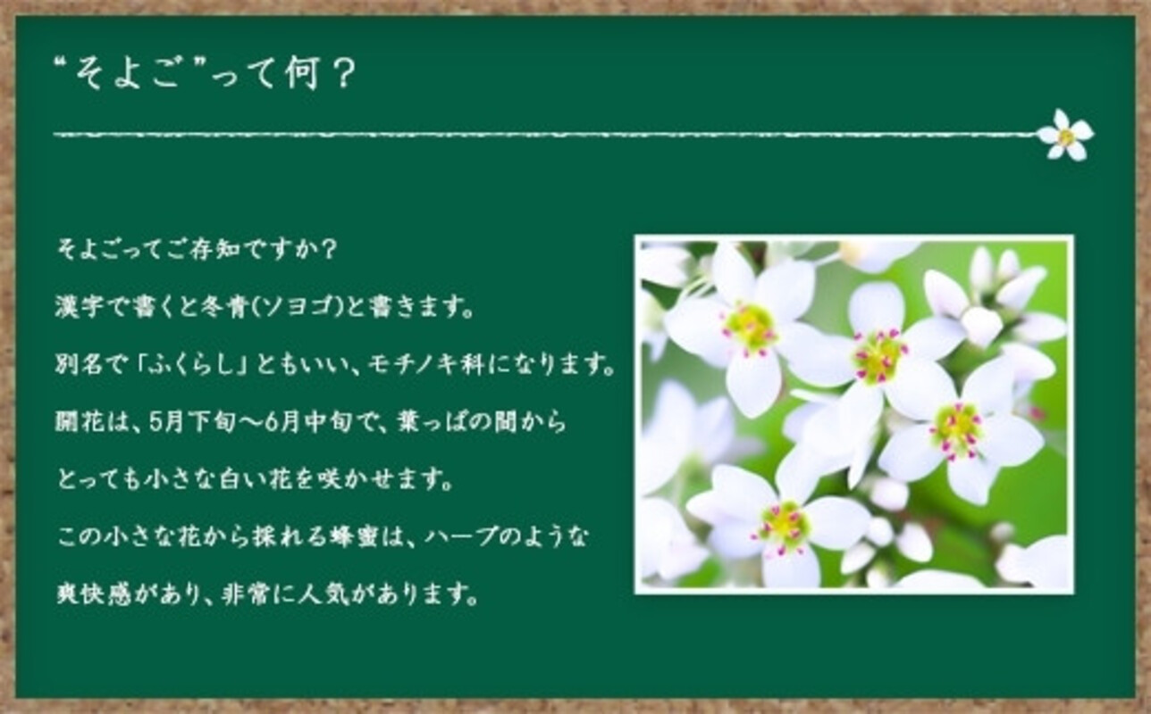 【全12回】 定期便 かの蜂 国産 そよご蜂蜜 合計12kg（とんがり容器1kgを毎月1本お届け） 蜂蜜 はちみつ ハチミツ 非加熱 国産 ボトル 常温 保存 備蓄 防災食 非常食 プレゼント 保存食 防災グッズ 福岡県 八女市