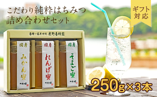 【ギフト用】かの蜂 国産 蜂蜜 3本セット250g×3本（れんげ・みかん・そよご） ★ふるさと納税限定セット★ はちみつ 蜂蜜 ハチミツ ハニー 非加熱 純粋 国産 ギフト