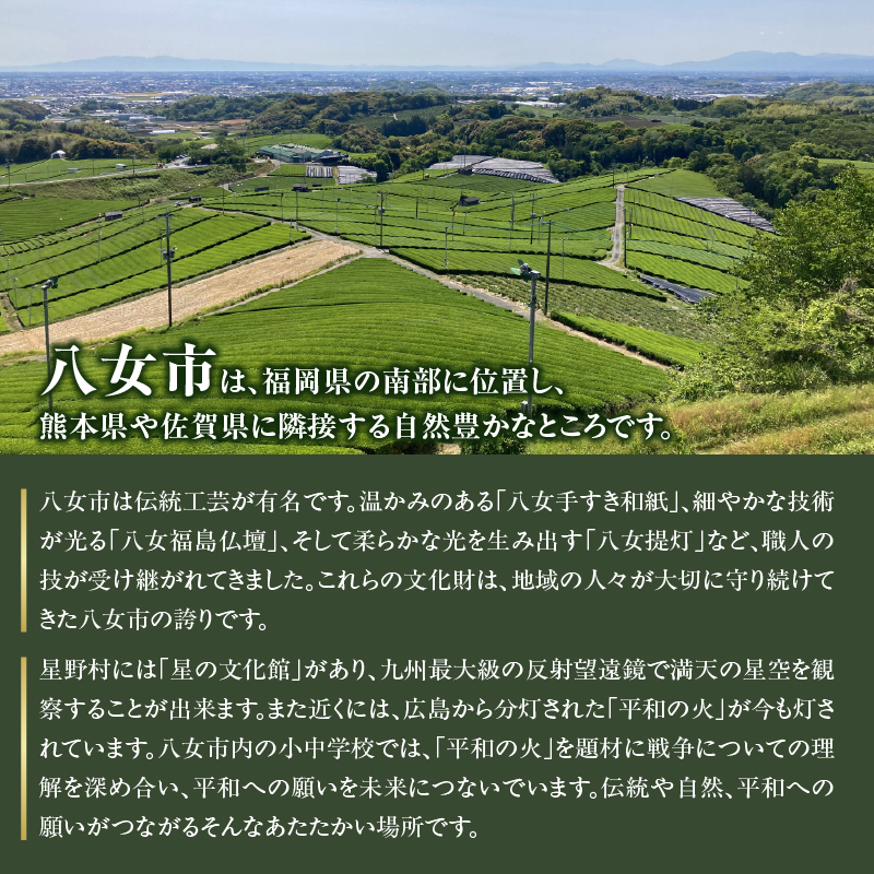 国産百花蜂蜜1kg（500gとんがり容器×2本）【ふるさと愛プロジェクト】 ハチミツ 非加熱 純粋はちみつ ハニー 福岡県 八女市 保存食 防災グッズ 非常食 ボトル