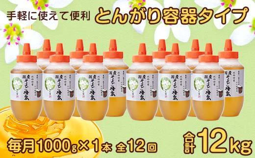 【全12回】 定期便 かの蜂 国産 そよご蜂蜜 合計12kg（とんがり容器1kgを毎月1本お届け） 蜂蜜 はちみつ ハチミツ 非加熱 国産 ボトル 常温 保存 備蓄 防災食 非常食 プレゼント 保存食 防災グッズ 福岡県 八女市