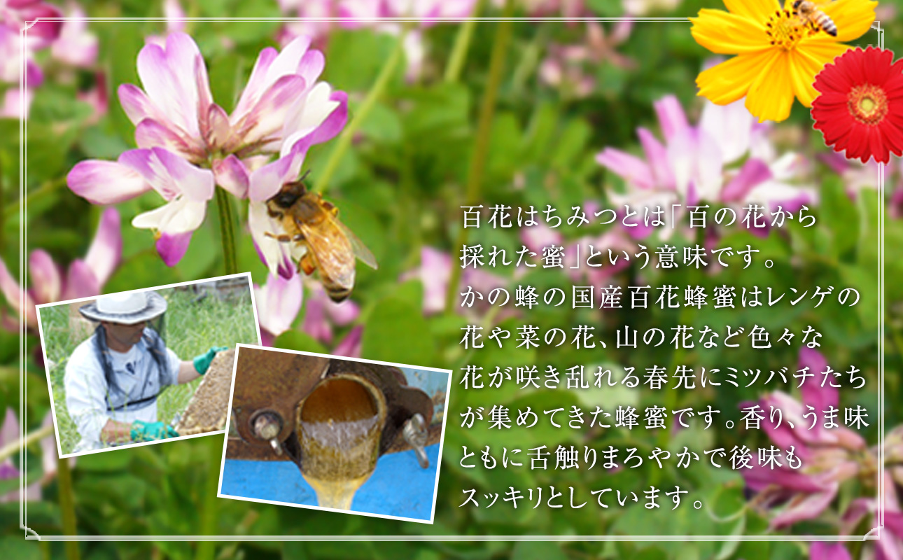 ＜国産＞かの蜂 百花蜂蜜【300g×3個】養蜂一筋60年自慢の一品 蜂蜜 はちみつ ハチミツ 非加熱 国産 瓶タイプ 常温 保存 備蓄 防災食 非常食 年内配送 年内発送 プレゼント 保存食 防災グッズ 福岡県 八女市