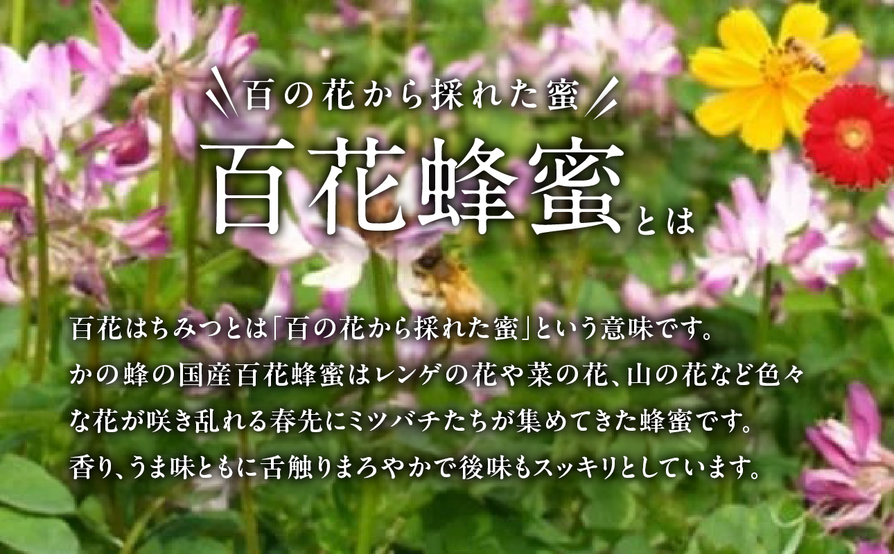 縺九ョ陷 蝗ス逕」 逋セ闃ア陷り惧 1kgシ医→繧薙′繧雁ョケ蝎ィ500gテ2譛ャシ蛾、願怩荳遲60蟷エ閾ェ諷「縺ョ荳蜩 繝上メ繝溘ヤ 髱槫刈辭ア 邏皮イ九ッ縺。縺ソ縺、 繝上ル繝シ 髦イ轣ス繧ー繝繧コ 蟶ク貂ゥ 菫晏ュ 蛯呵塘 髦イ轣ス鬟 髱槫クク鬟 菫晏ュ倬」 縺ッ縺。縺ソ縺、 縺ッ縺。縺ソ縺、 蝗ス逕」 縺ッ縺。縺ソ縺、 蝗ス逕」 1kg 縺ッ縺。縺ソ縺、 蝗ス逕」 髱槫刈辭ア 遖丞イ。逵 蜈ォ螂ウ蟶
