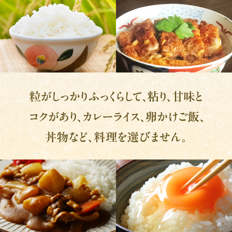 八女産ヒノヒカリ 5kg！ 清流矢部川と大地の恵み 米 白米 ご飯 粘り 甘み コク