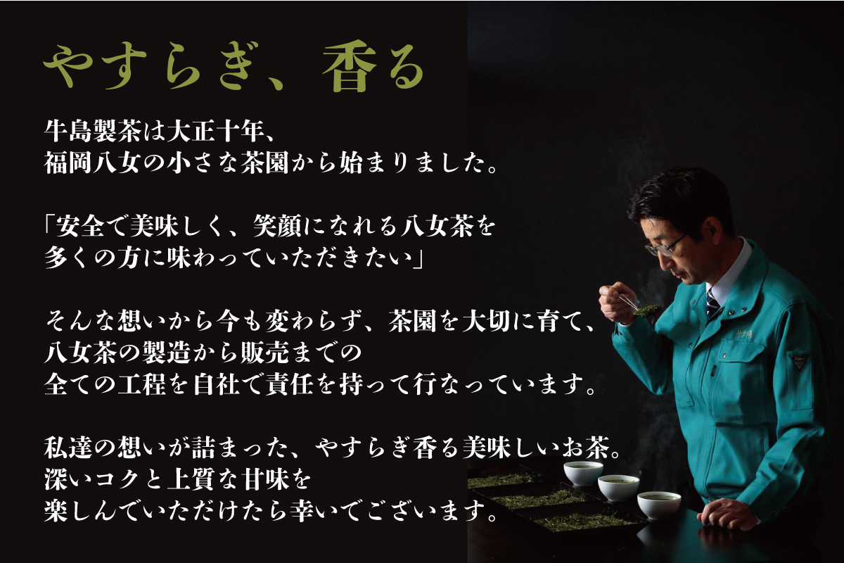 【八女の日】【新茶】【ギフト対応可能】2026年新茶をお届け!! 極上八女深蒸し煎茶セット お茶 緑茶  八女茶 茶葉 国産 新鮮 産地直送 産直 プレゼント ラッピング 包装 贈り物 福岡県 八女市