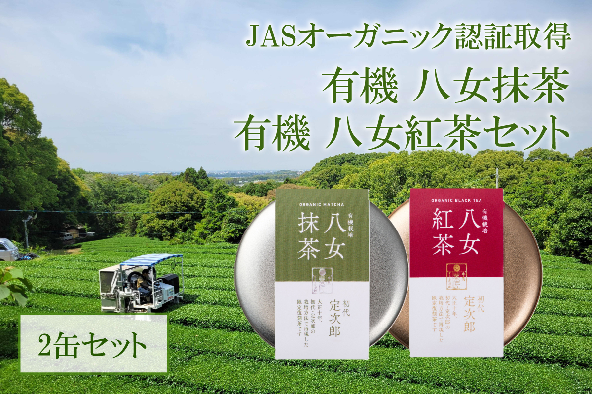 有機 八女抹茶(20g)・八女紅茶(30g)セット 茶 お茶 抹茶 紅茶 一番茶 二番茶 やぶきた 深蒸し茶 国産 八女産 福岡 数量限定 期間限定