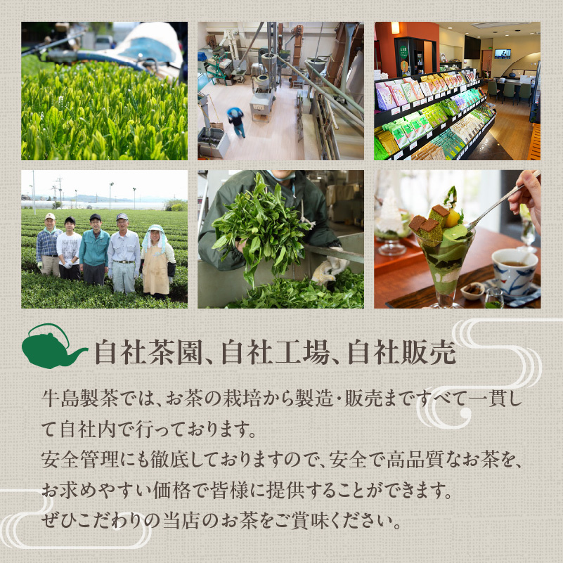 日本茶 AWRAD 2018 ファインプロダクト賞 深蒸し八女茶 箱入り「定庵あおか 30g」【メール便】 茶 お茶 日本茶 八女茶 深蒸し茶 水出し 旨味 爽やか 最上級 受賞 美味しい 福岡県 八女市