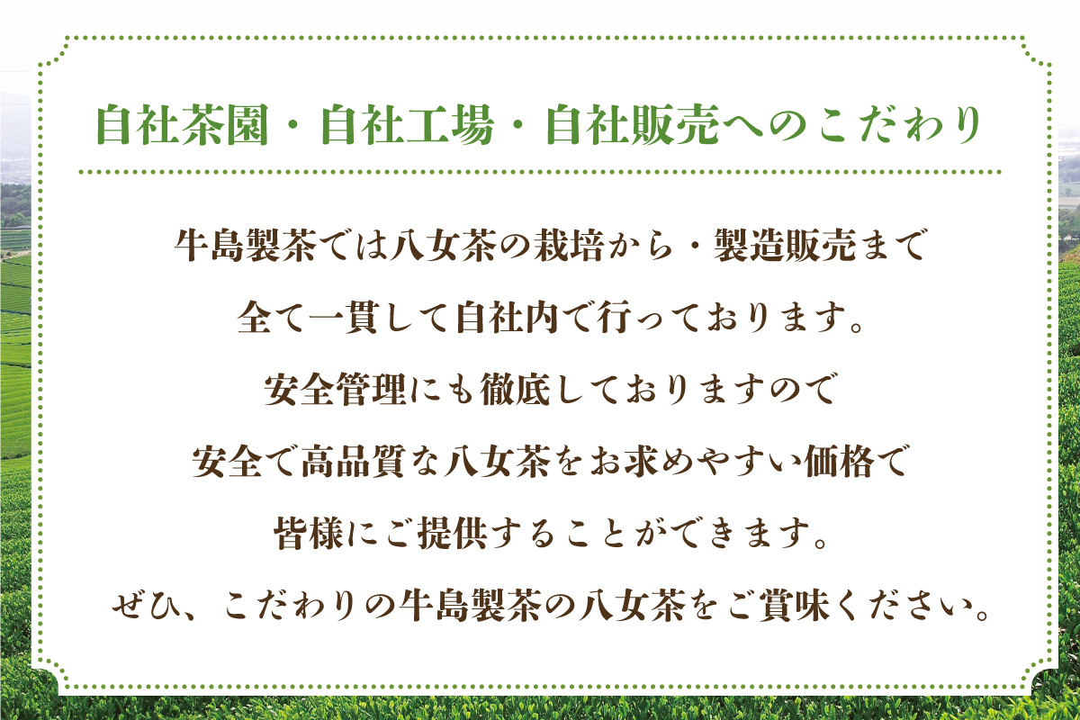 【八女の日】【新茶】【ギフト対応可能】2026年新茶をお届け!! 極上八女深蒸し煎茶セット お茶 緑茶  八女茶 茶葉 国産 新鮮 産地直送 産直 プレゼント ラッピング 包装 贈り物 福岡県 八女市