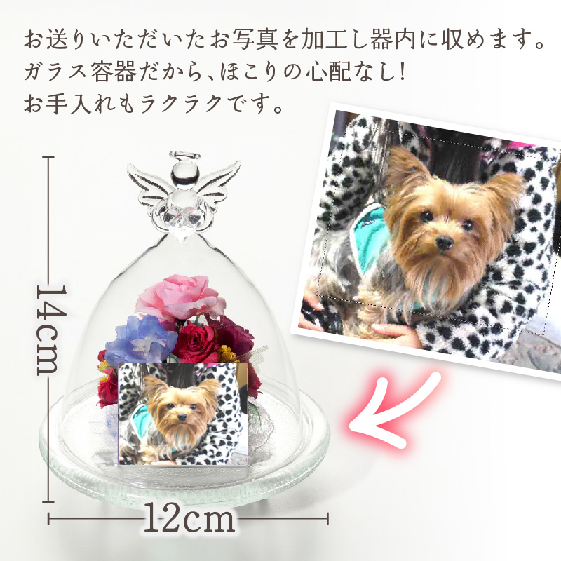 ペットメモリアル ボトルフラワー お供えお悔やみ エンゼル ドライフラワー ボトルフラワー インテリア 思い出 写真 メモリアル