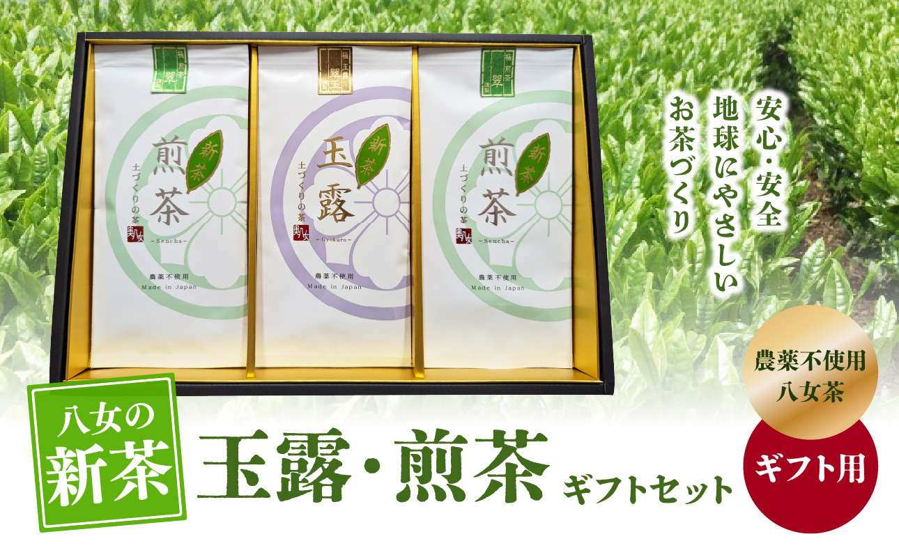 【2026年新茶】【ギフト用】玉露・煎茶ギフトセット【2026年6月上旬発送開始】 茶 お茶 新茶 煎茶 玉露 八女茶 国産 福岡県 ギフト プレゼント 贈答 八女市
