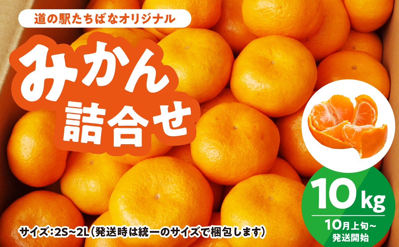 ＜道の駅たちばなオリジナル＞みかん10kg詰合せ（2026年10月上旬より発送開始） みかん ミカン オレンジ くだもの 果物 フルーツ デザート 極早生 早生 甘い 福岡県 八女市