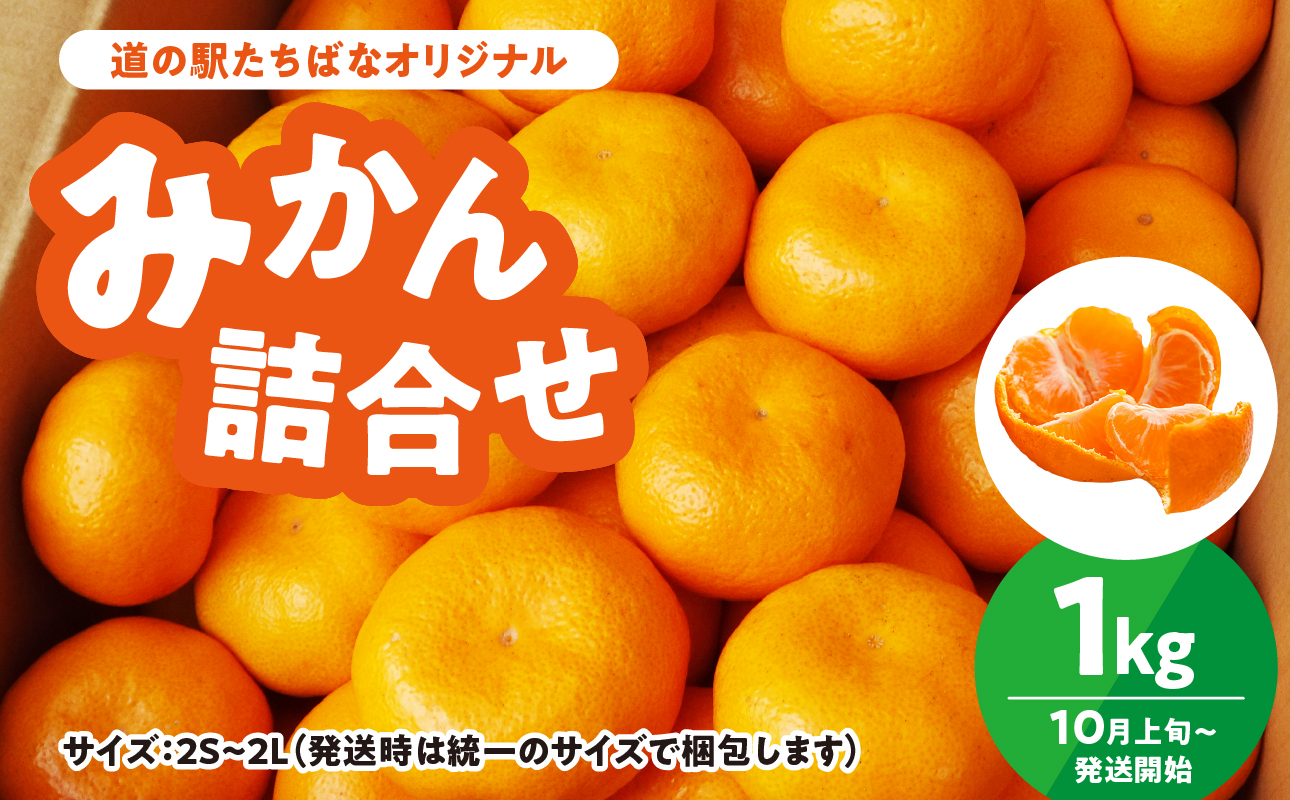＜道の駅たちばなオリジナル＞みかん1kg詰合せ 早生みかん 中生みかん 晩生みかん ミカン オレンジ 果物 フルーツ