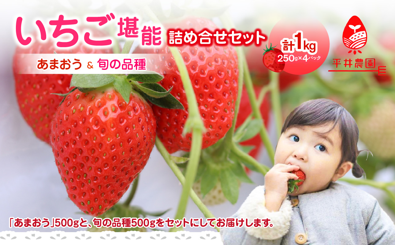 いちご堪能詰め合わせセット 250g×4パック（合計1kg）｜2026年2月～順次発送＜ひらい観光農園＞ あまおう いちご 苺 イチゴ フルーツ 果物 くだもの 人気 旬 福岡県産 食べ比べ 採れたて セット 冷蔵配送 数量限定 期間限定 産地直送 福岡県 八女市