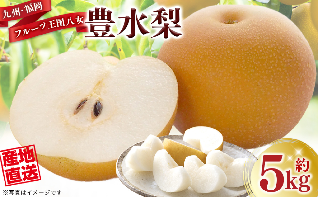 産地直送！ 梨(豊水) 約5kg 【2026年8～9月発送】九州・福岡フルーツ王国八女 ＜配送不可：北海道・沖縄・離島＞ なし ナシ 果物 果実 フルーツ 先行予約 デザート 旬 新鮮 甘い 甘み ジューシー みずみずしい 果汁 国産 季節限定 冷蔵配送 数量限定 秋の味覚