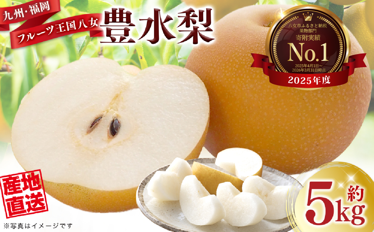 産地直送！ 梨(豊水) 約5kg 【2026年8～9月発送】九州・福岡フルーツ王国八女 ＜配送不可：北海道・沖縄・離島＞ なし ナシ 果物 果実 フルーツ 先行予約 デザート 旬 新鮮 甘い 甘み ジューシー みずみずしい 果汁 国産 季節限定 冷蔵配送 数量限定 秋の味覚