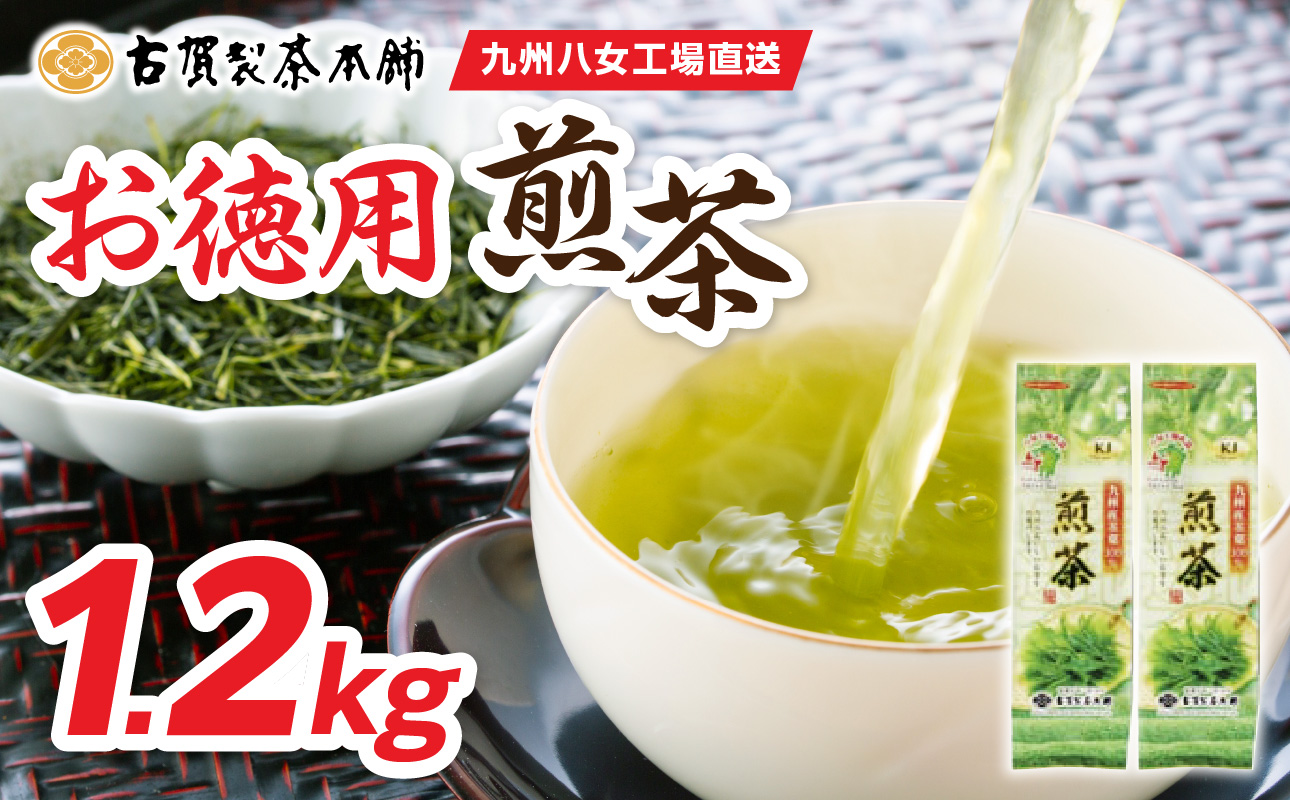 創業200年の老舗・古賀製茶本舗 九州八女工場直送お徳用煎茶1.2kg お茶 茶 八女茶 日本茶 煎茶 産地直送 たっぷり 大容量 チャック付き 福岡県 八女市