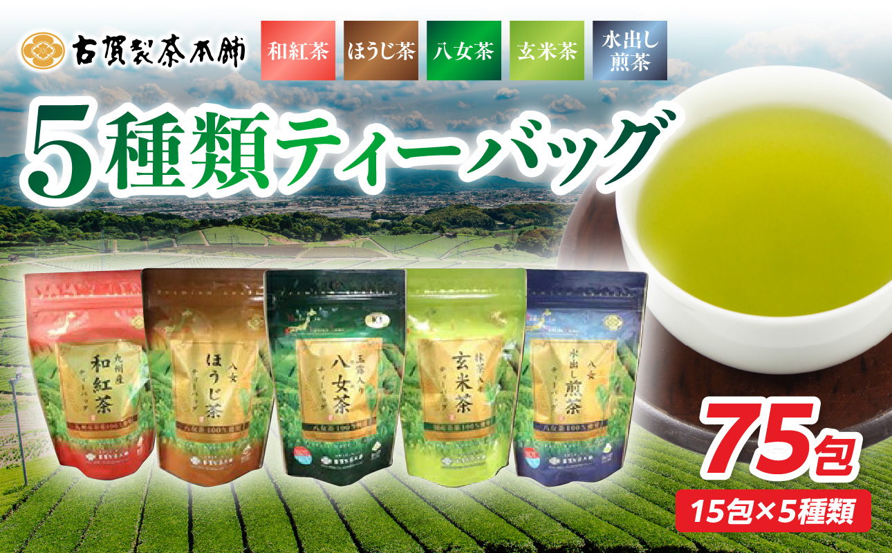 八女茶の老舗・古賀製茶本舗 5種類のティーバッグ たっぷり75包入り 茶 お茶 日本茶 緑茶 八女茶 飲み比べ 玉露 煎茶 ほうじ茶 和紅茶 玄米茶 福岡県 八女市