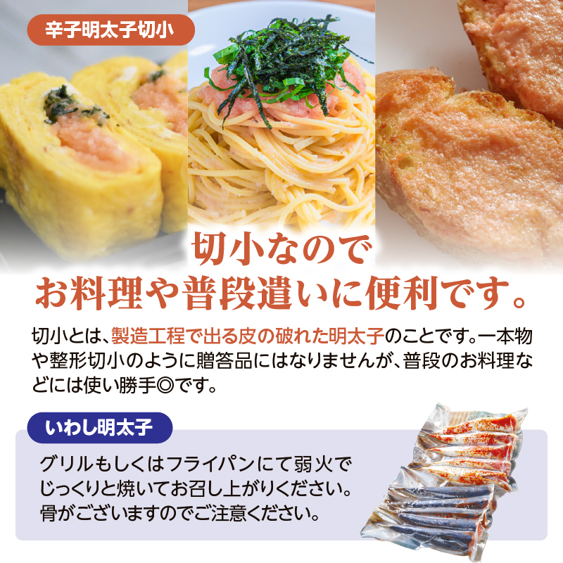 【博多漁師の里】百貨店で人気の 博多名物セット 辛子明太子切小 500g いわし明太子10尾(5尾×2pc) 化粧箱入り 辛子めんたい 明太子 パスタ