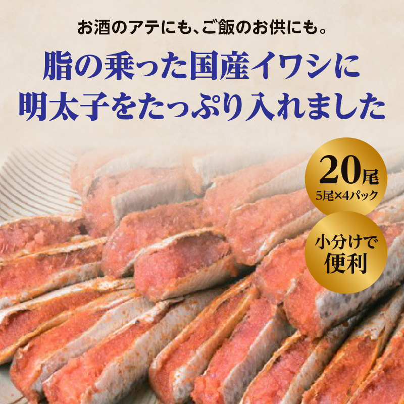 【博多漁師の里】福岡名物！いわし明太子２０尾（５尾×４パック）化粧箱入り 国産真いわし使用 化粧箱入り　国産真いわし使用 鰯 イワシ 旬 魚 めんたいこ ご飯のお供 おつまみ おかず 冷凍 真空パック 便利 簡単調理 美味しい