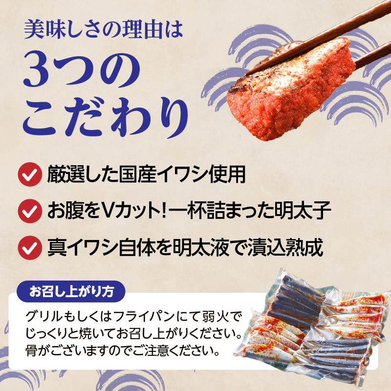 【博多漁師の里】福岡名物！いわし明太子２０尾（５尾×４パック）化粧箱入り 国産真いわし使用 化粧箱入り　国産真いわし使用 鰯 イワシ 旬 魚 めんたいこ ご飯のお供 おつまみ おかず 冷凍 真空パック 便利 簡単調理 美味しい