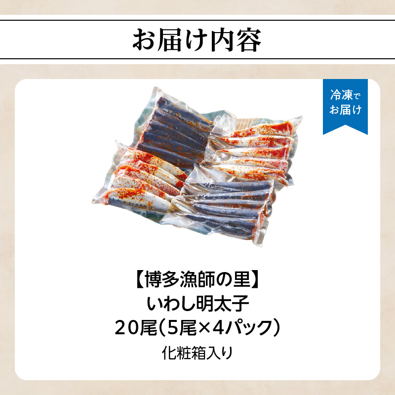 【博多漁師の里】福岡名物！いわし明太子２０尾（５尾×４パック）化粧箱入り 国産真いわし使用 化粧箱入り　国産真いわし使用 鰯 イワシ 旬 魚 めんたいこ ご飯のお供 おつまみ おかず 冷凍 真空パック 便利 簡単調理 美味しい