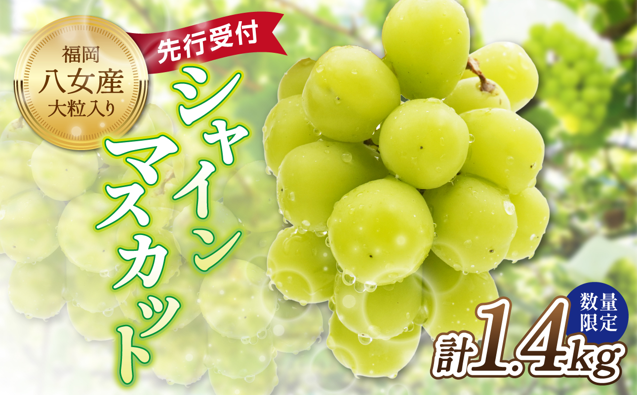 ãå
è¡åä»ãã2026幎çºéãä¹å·çŠå²¡ãã«ãŒãçåœå
«å¥³ 倧ç²å
¥ãã·ã£ã€ã³ãã¹ã«ãã çŽ1.4kgãæ°ééå®ãïŒé
éäžå¯ïŒåæµ·éã»æ²çžã»é¢å³¶ïŒ æ°ééå® çŽ1.4kg é«ç³åºŠ å€§ç² å³éž æç© ãã ãã® ãã«ãŒã ã¶ã©ã è¡è ãžã¥ãŒã·ãŒ çš®ãªã å·èµ ä¹å· çŠå²¡ç å
«å¥³åž