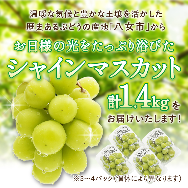 ãå
è¡åä»ãã2026幎çºéãä¹å·çŠå²¡ãã«ãŒãçåœå
«å¥³ 倧ç²å
¥ãã·ã£ã€ã³ãã¹ã«ãã çŽ1.4kgãæ°ééå®ãïŒé
éäžå¯ïŒåæµ·éã»æ²çžã»é¢å³¶ïŒ æ°ééå® çŽ1.4kg é«ç³åºŠ å€§ç² å³éž æç© ãã ãã® ãã«ãŒã ã¶ã©ã è¡è ãžã¥ãŒã·ãŒ çš®ãªã å·èµ ä¹å· çŠå²¡ç å
«å¥³åž