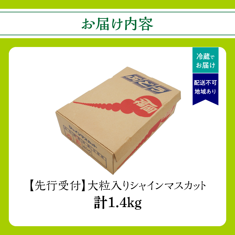 ãå
è¡åä»ãã2026幎çºéãä¹å·çŠå²¡ãã«ãŒãçåœå
«å¥³ 倧ç²å
¥ãã·ã£ã€ã³ãã¹ã«ãã çŽ1.4kgãæ°ééå®ãïŒé
éäžå¯ïŒåæµ·éã»æ²çžã»é¢å³¶ïŒ æ°ééå® çŽ1.4kg é«ç³åºŠ å€§ç² å³éž æç© ãã ãã® ãã«ãŒã ã¶ã©ã è¡è ãžã¥ãŒã·ãŒ çš®ãªã å·èµ ä¹å· çŠå²¡ç å
«å¥³åž