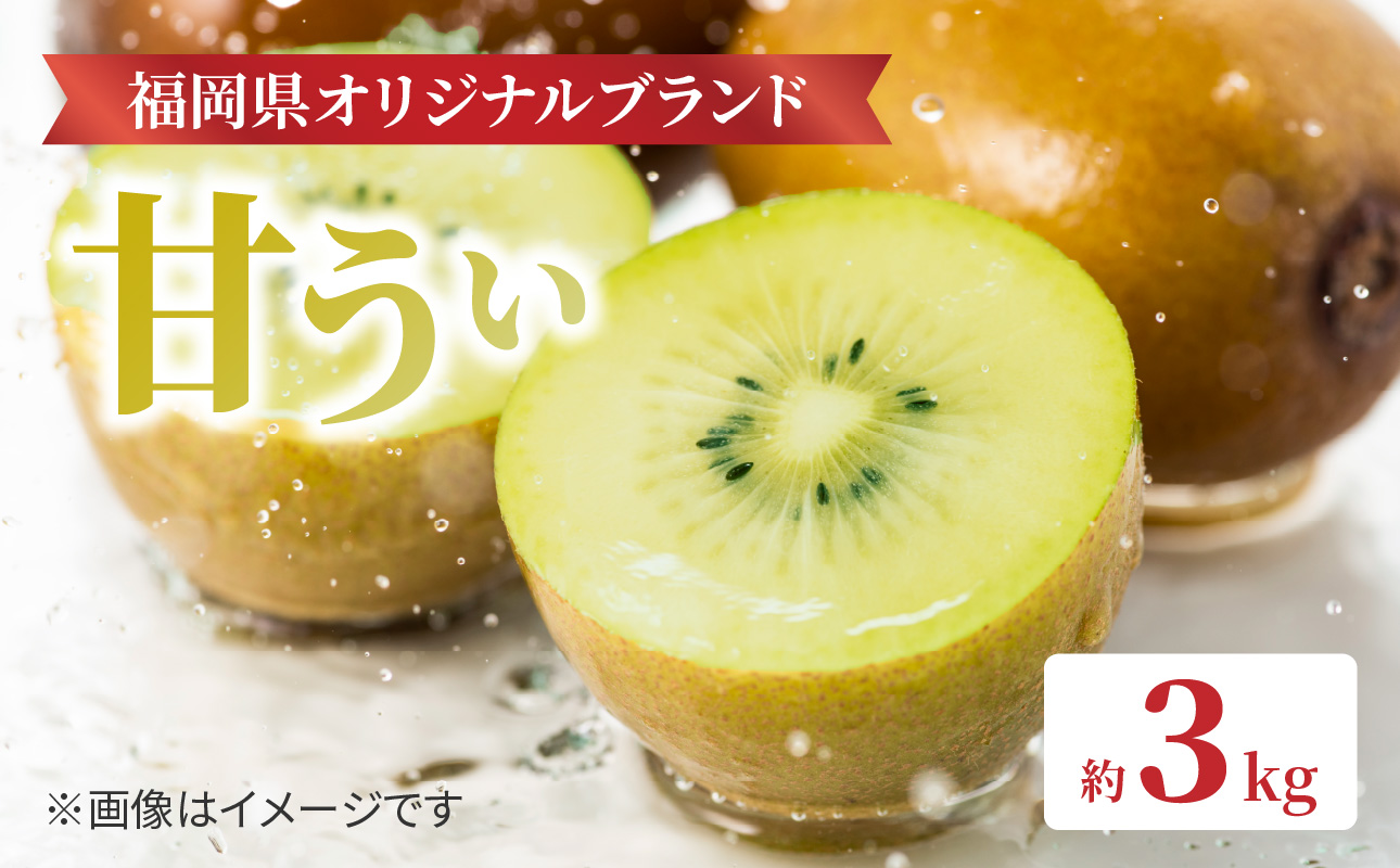 【先行受付：2026年11月頃発送開始】福岡限定品種キウイ「甘うぃ」約3kg<配送不可地域：北海道・沖縄・離島> 先行受付 キウイ キウイフルーツ フルーツ 果物 くだもの 甘い 高糖度 希少 オリジナル品種 新品種 新ブランド